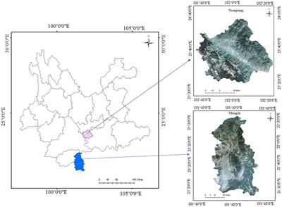 Morphological responses of Bombax ceiba to habitat heterogeneity in Southwest China